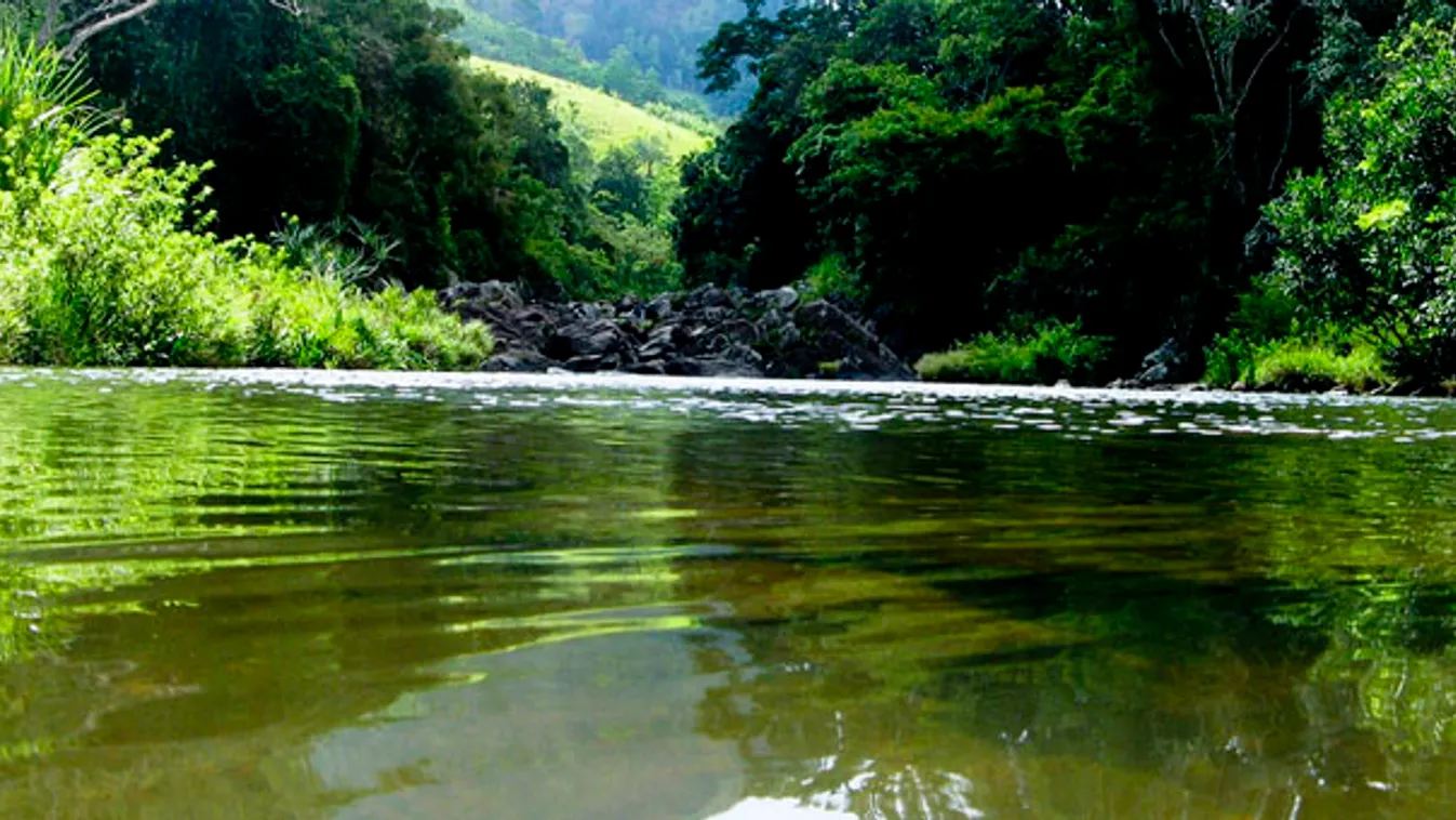 A vizes élőhelyek megóvására figyelmeztetnek a természetvédők