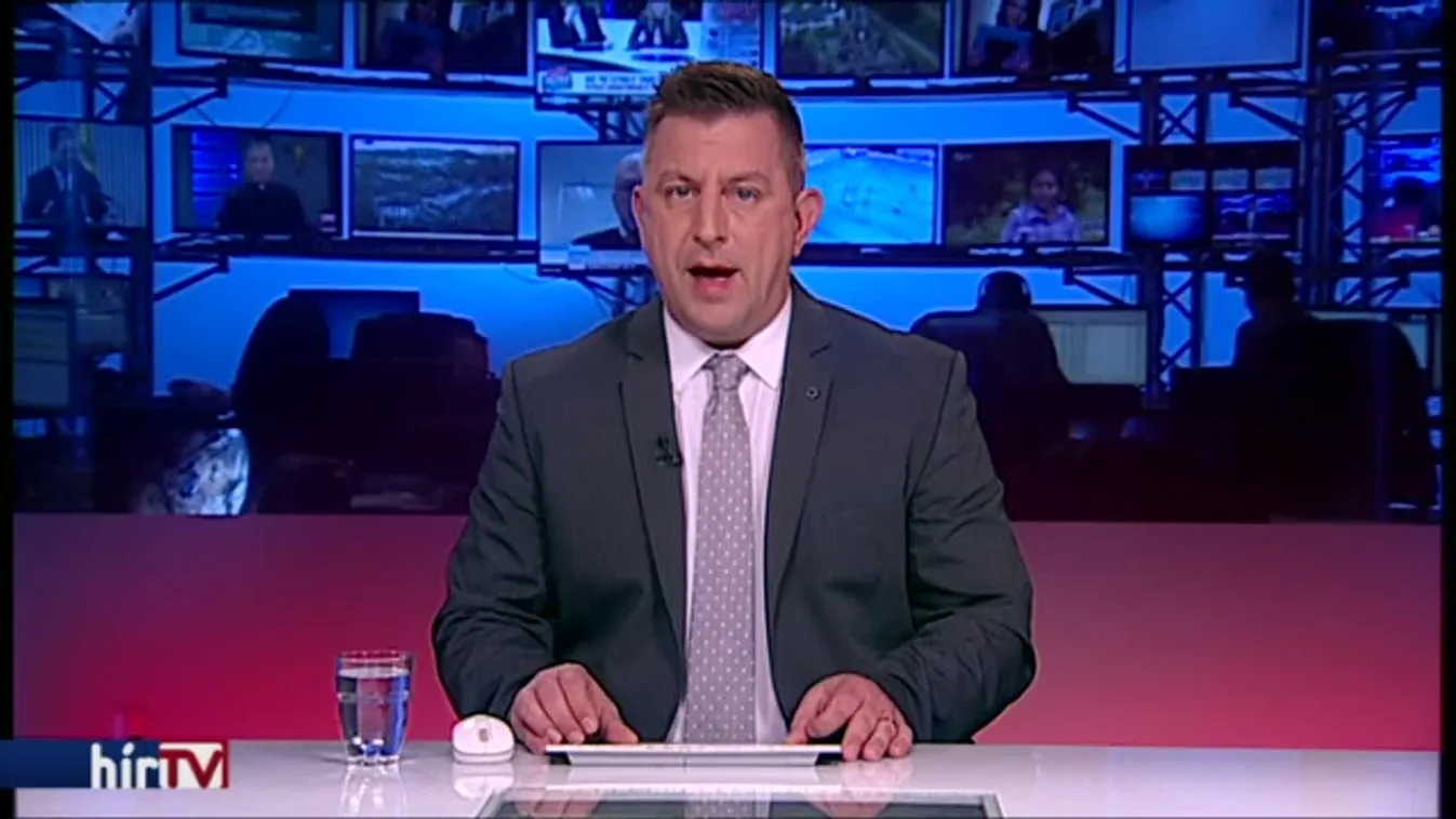 Deutsch: Az Európai Bizottság beismerte, léteznek migránskártyák