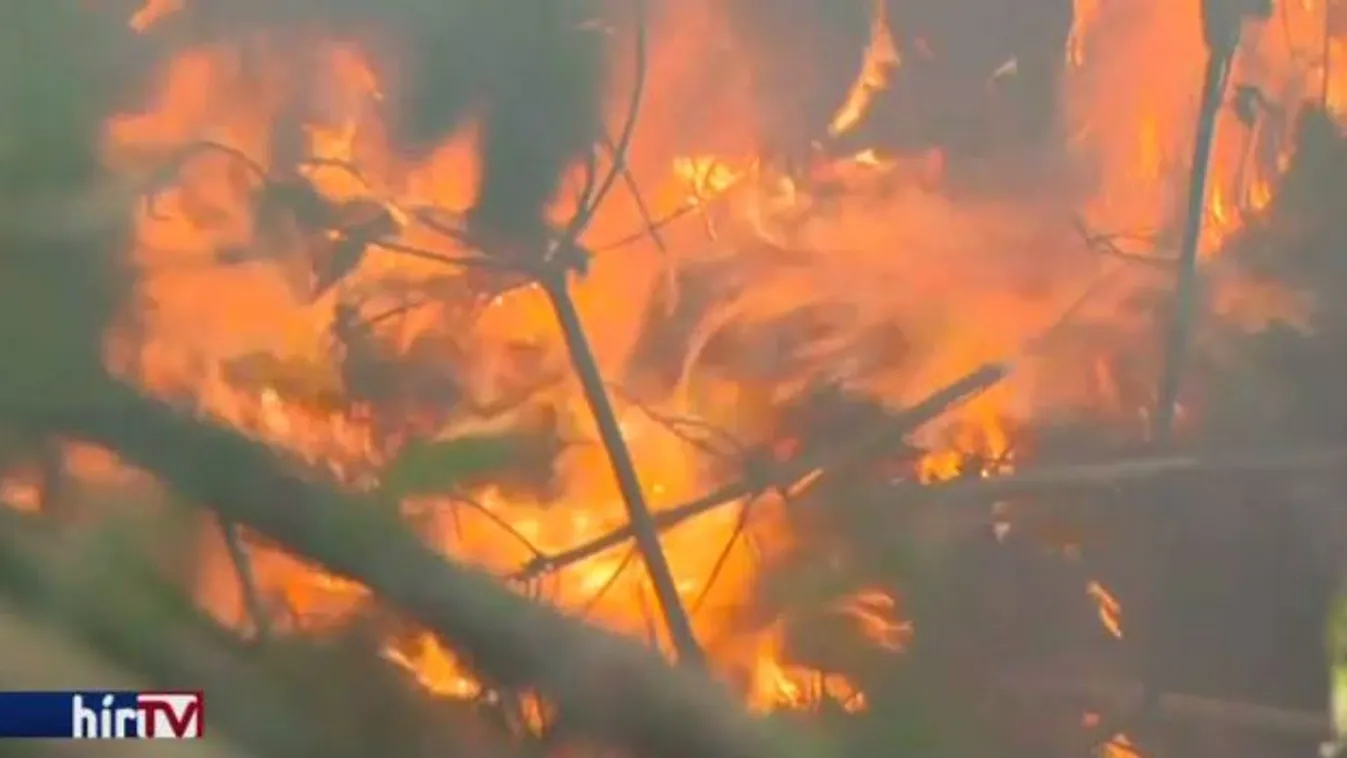 Az elmúlt 50 év legpusztítóbb új-zélandi erdőtüzével küzdenek