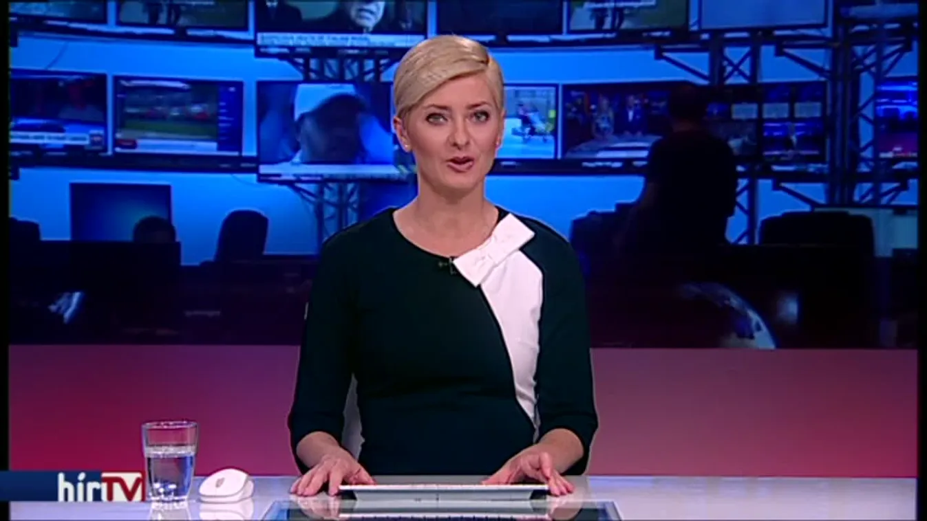 Már ki-be ugrál anyja erszényébe a legifjabb Benett kenguru