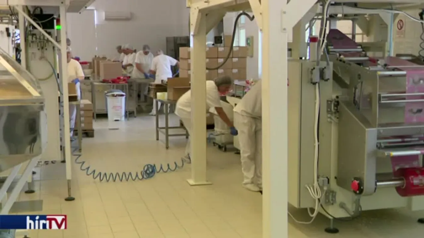 KSH: 4,4 százalékkal nőtt az ipari termelés januárban