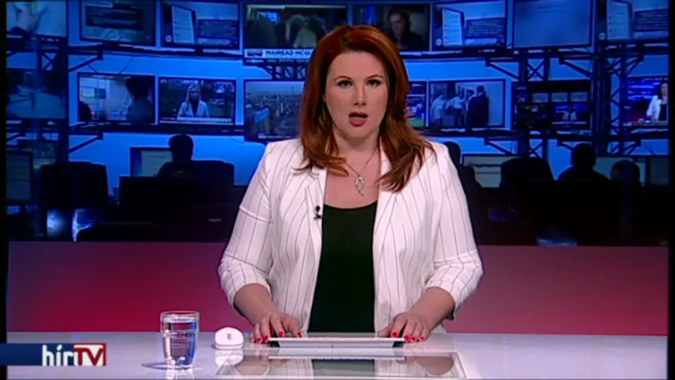 Áder János az egységes európai alkotmány hiányára hívta fel a figyelmet