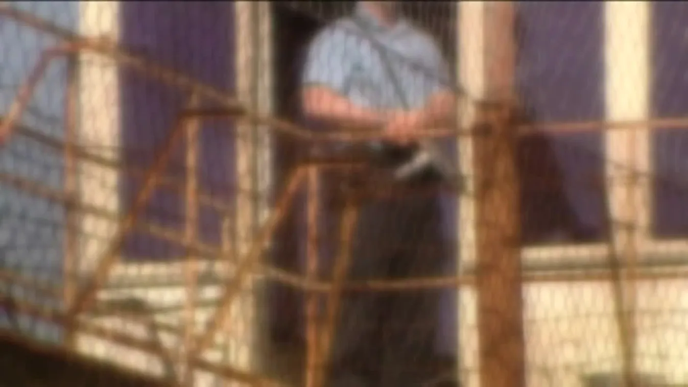 Eltűnt leányok nyomában – Riasztás