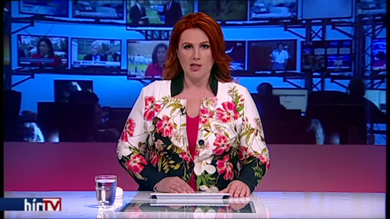 Őrizetbe vettek egy terrortámadásokkal vádolt férfit