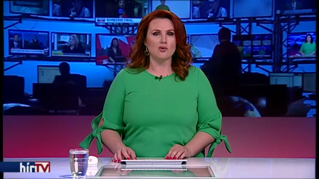 Orbán az új európai szövetségről: „Csigavér, higgadtság!”