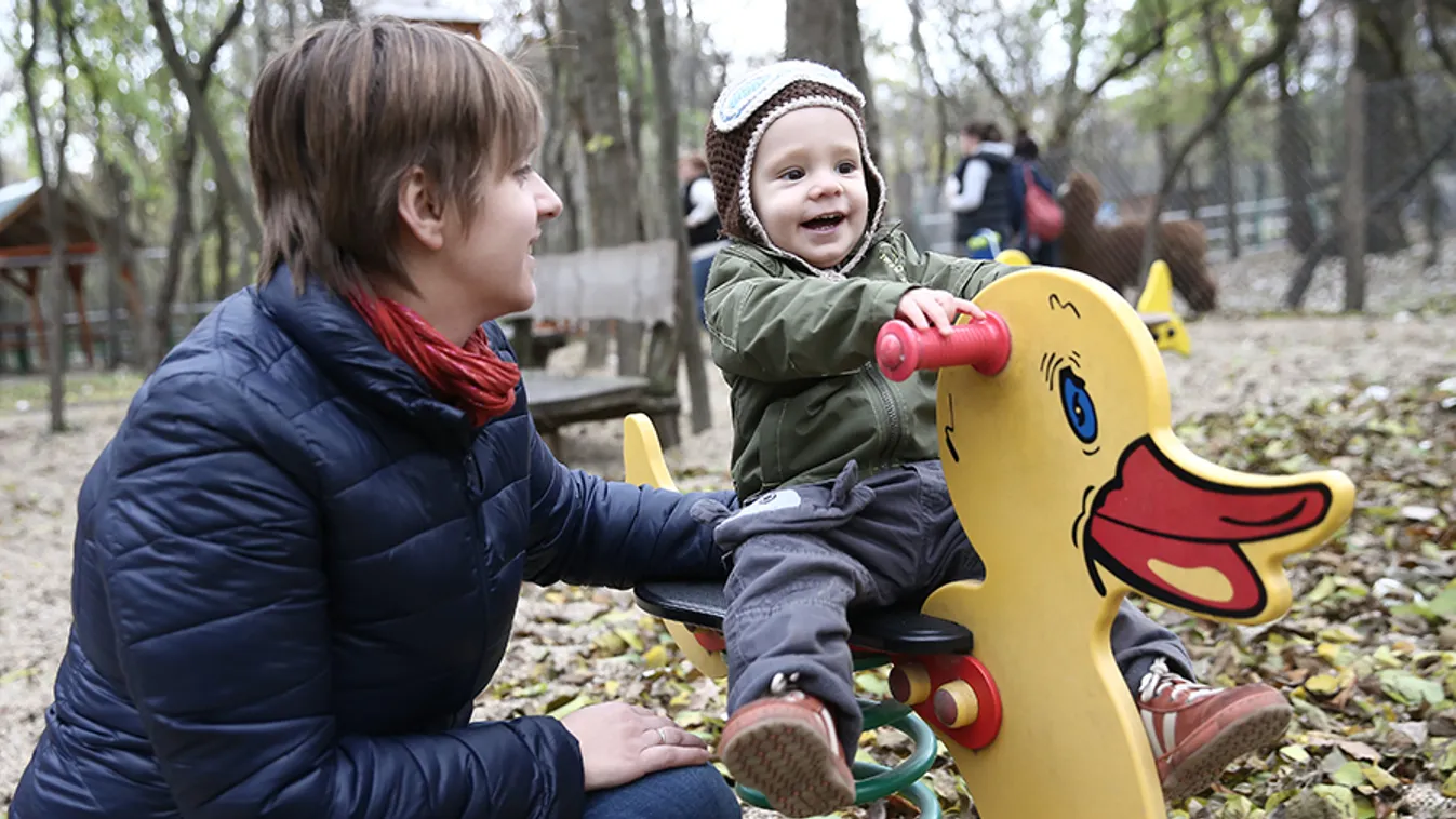 Pro és kontra – Magyarország élőben