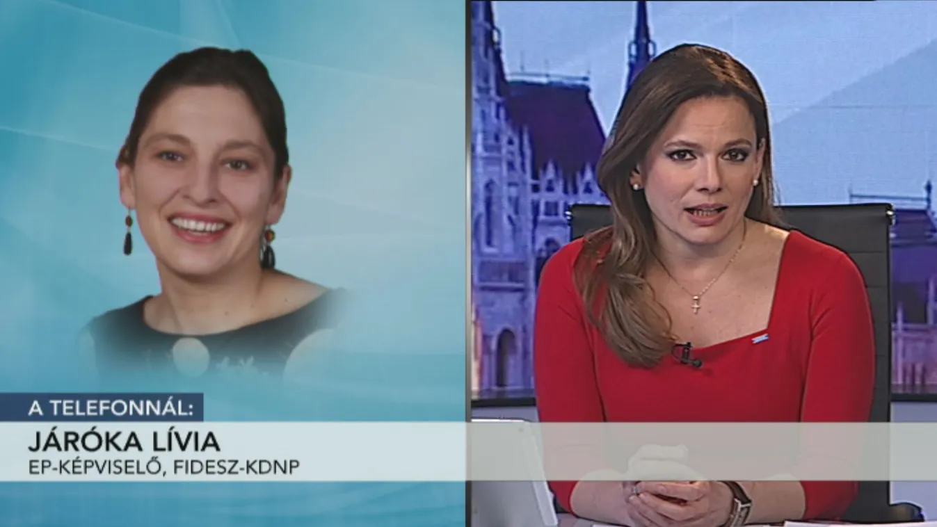 Járóka Lívia: A roma integráció helyett migránsokra költi a pénzt Brüsszel