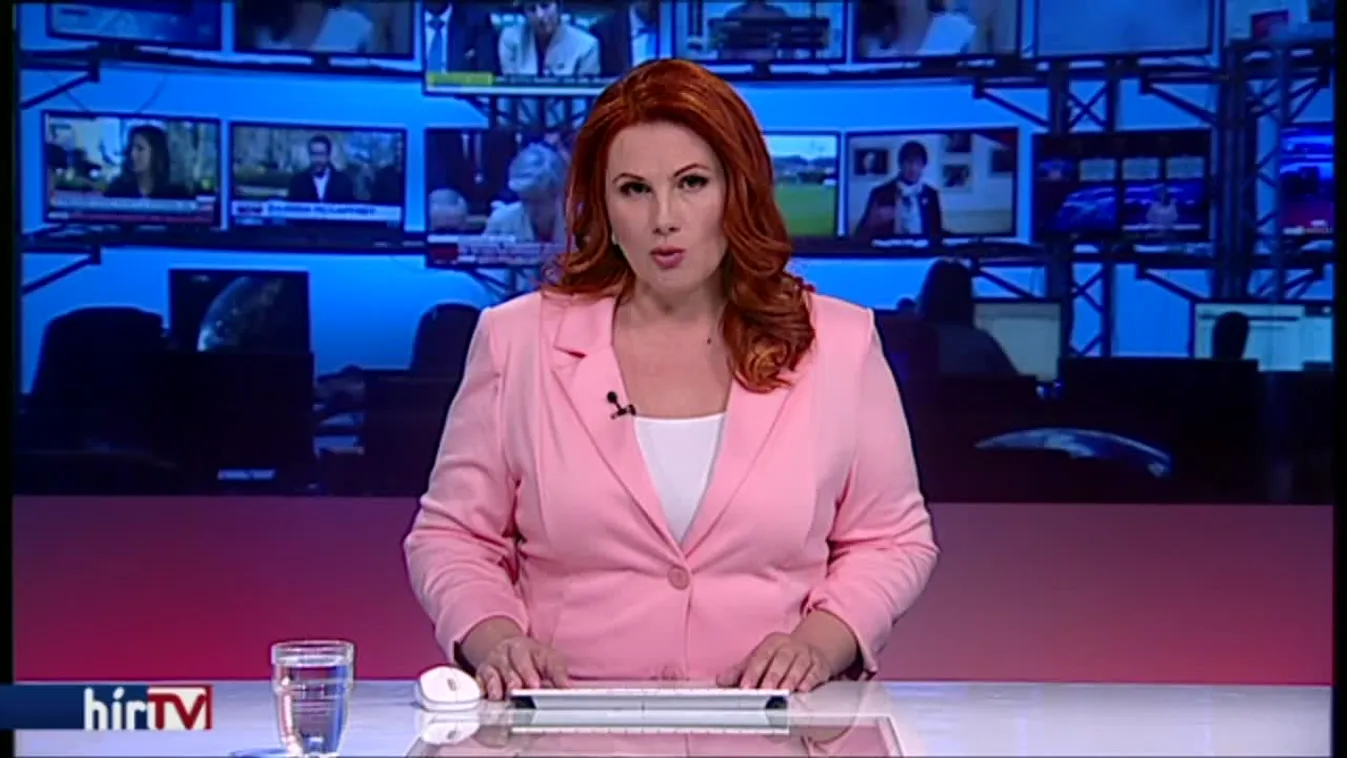 Szemtanú bizonyíthatja, hogy Hasszán F. lefejezésekben vett részt