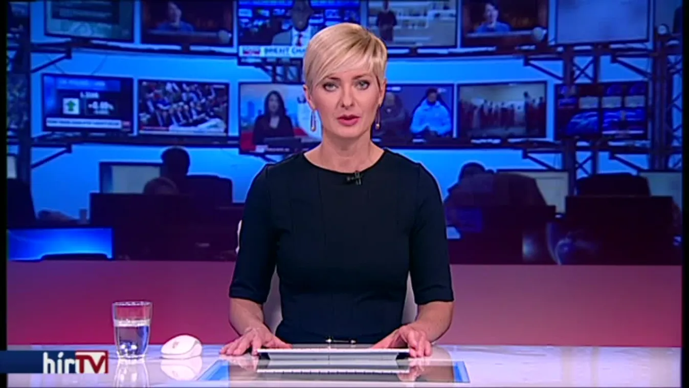 Lemondott mentelmi jogáról a jobbikos képviselő