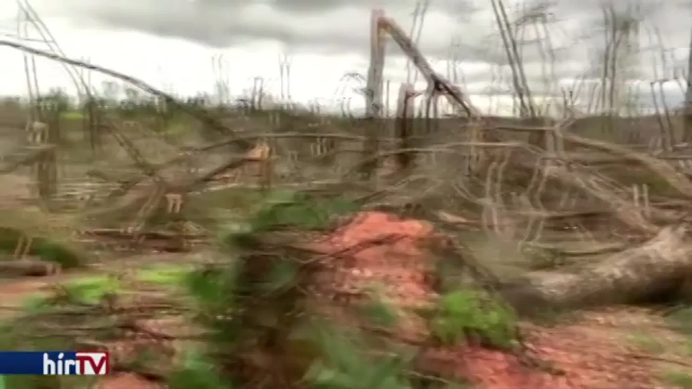 Közel két tucat áldozata van a tornádónak