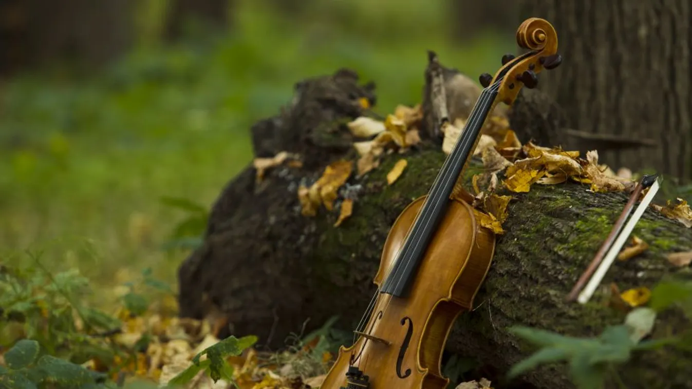 Júliusban Eresztvényben is muzsikál majd az erdő