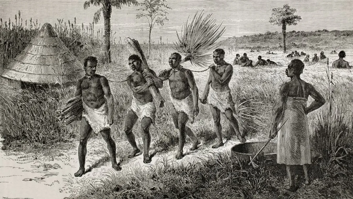 Kárpótlást adnának rabszolgák leszármazottainak a Georgetown Egyetem diákjai