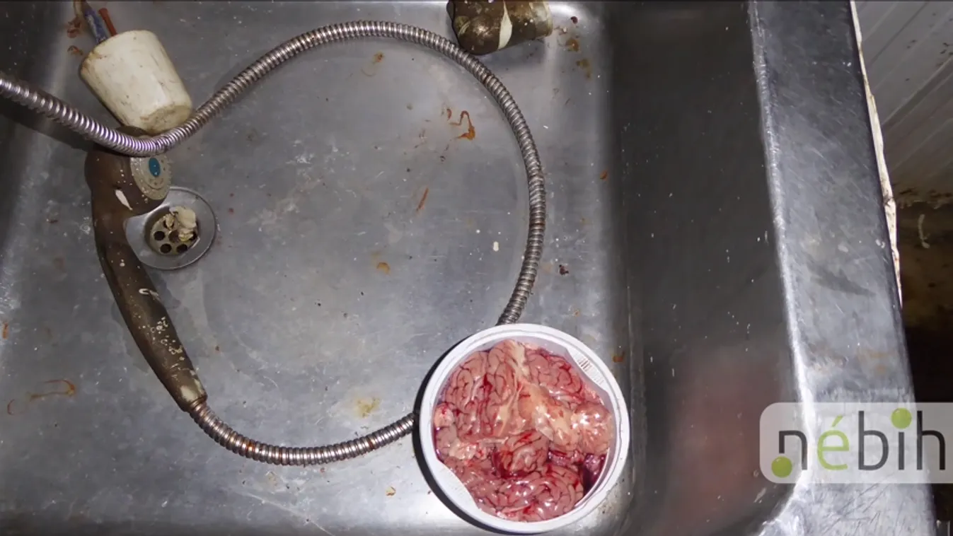 Húsüzemek működését függesztette fel Békés megyében a Nébih