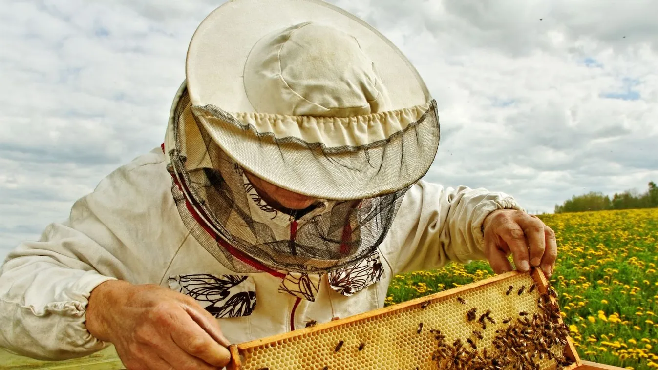 Nagy István: A kormány idén 600 millió forintot biztosít a méhészek támogatására