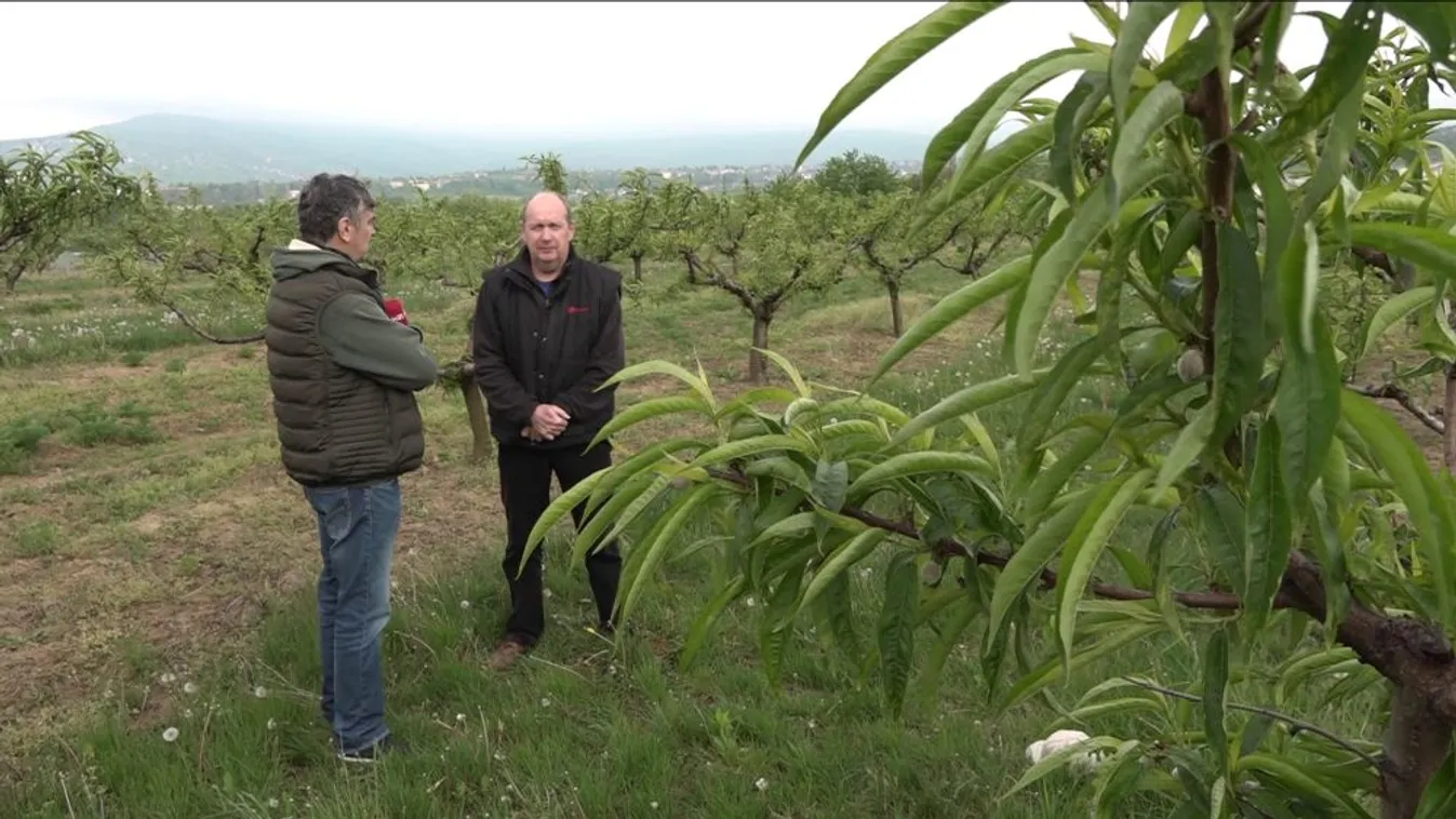 Jégeső-elhárítással a milliárdos károk ellen