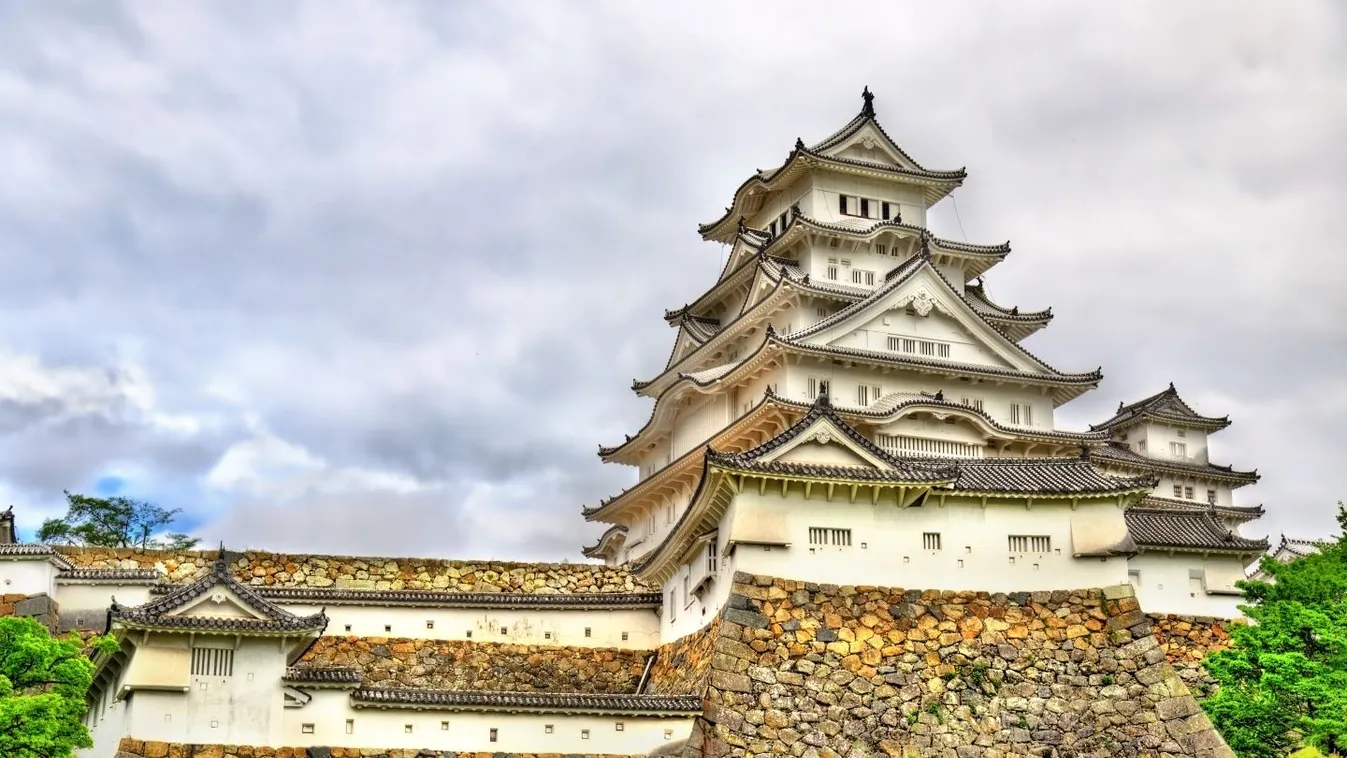 Le akarta szúrni a lemondott japán császár egyik unokáját egy férfi