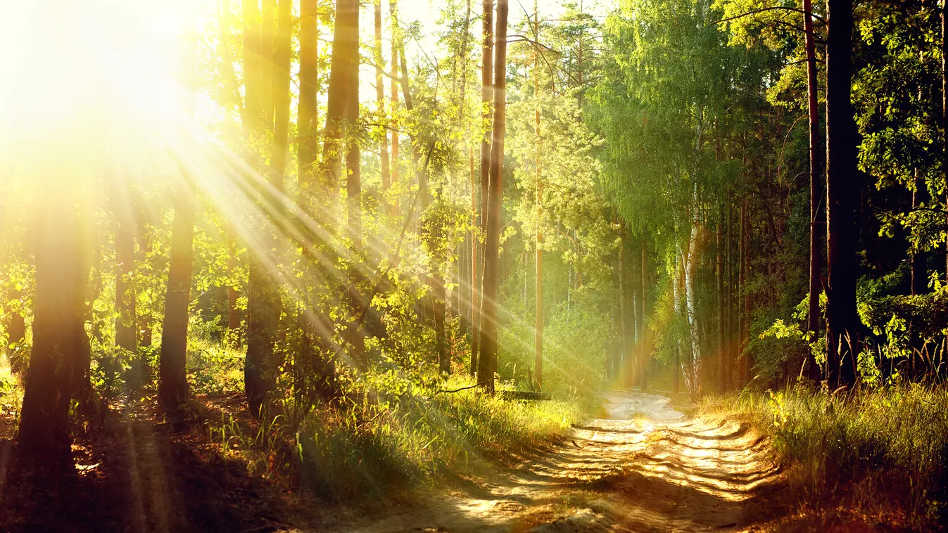 Ma kezdődik a gödöllői Nemzetközi Természetfilm Fesztivál