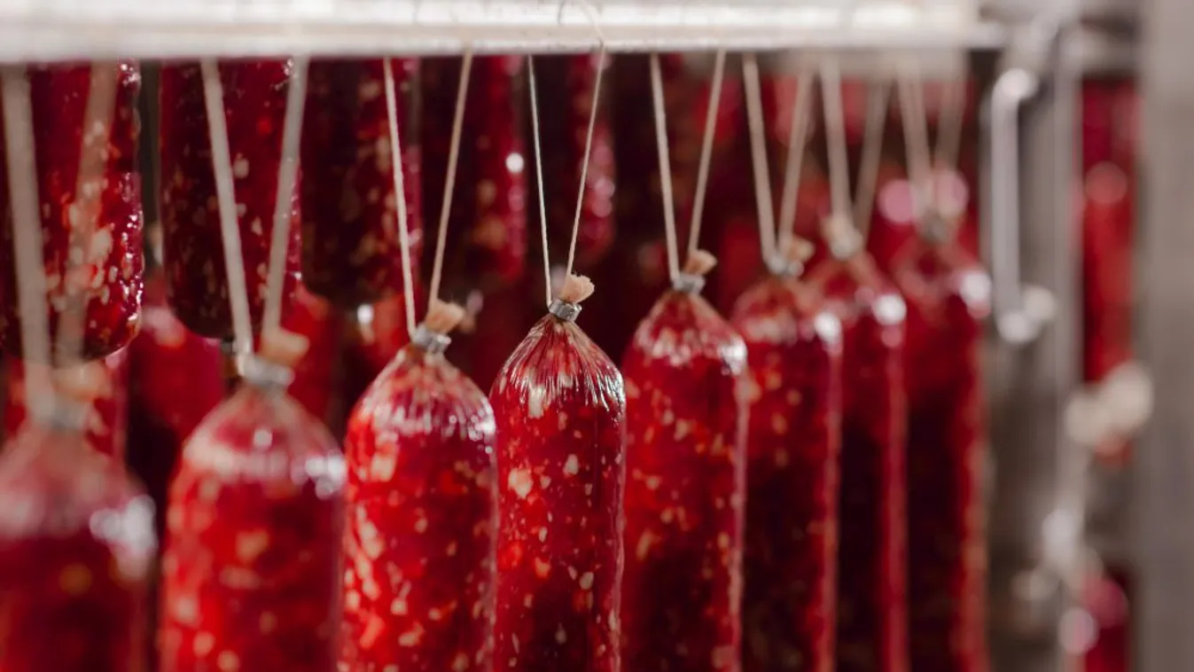 Csaknem 100 milliárd forintnyi beruházást tervez a Bonafarm