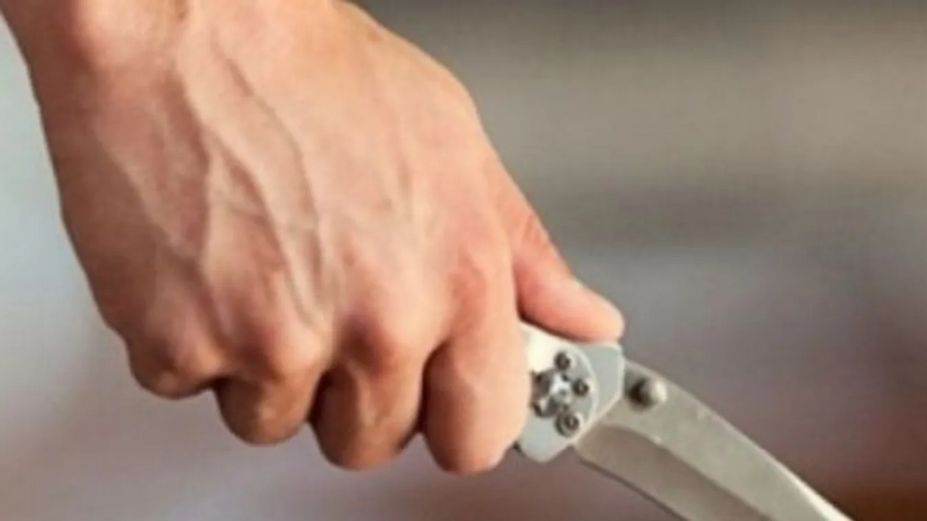 Késes támadás történt Tokió környékén