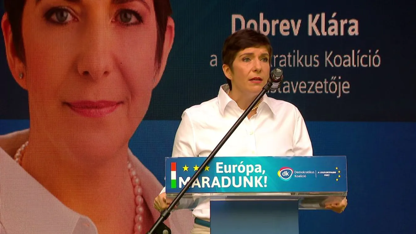 Dobrev az Európai Egyesült Államok létrehozása mellett kampányolt