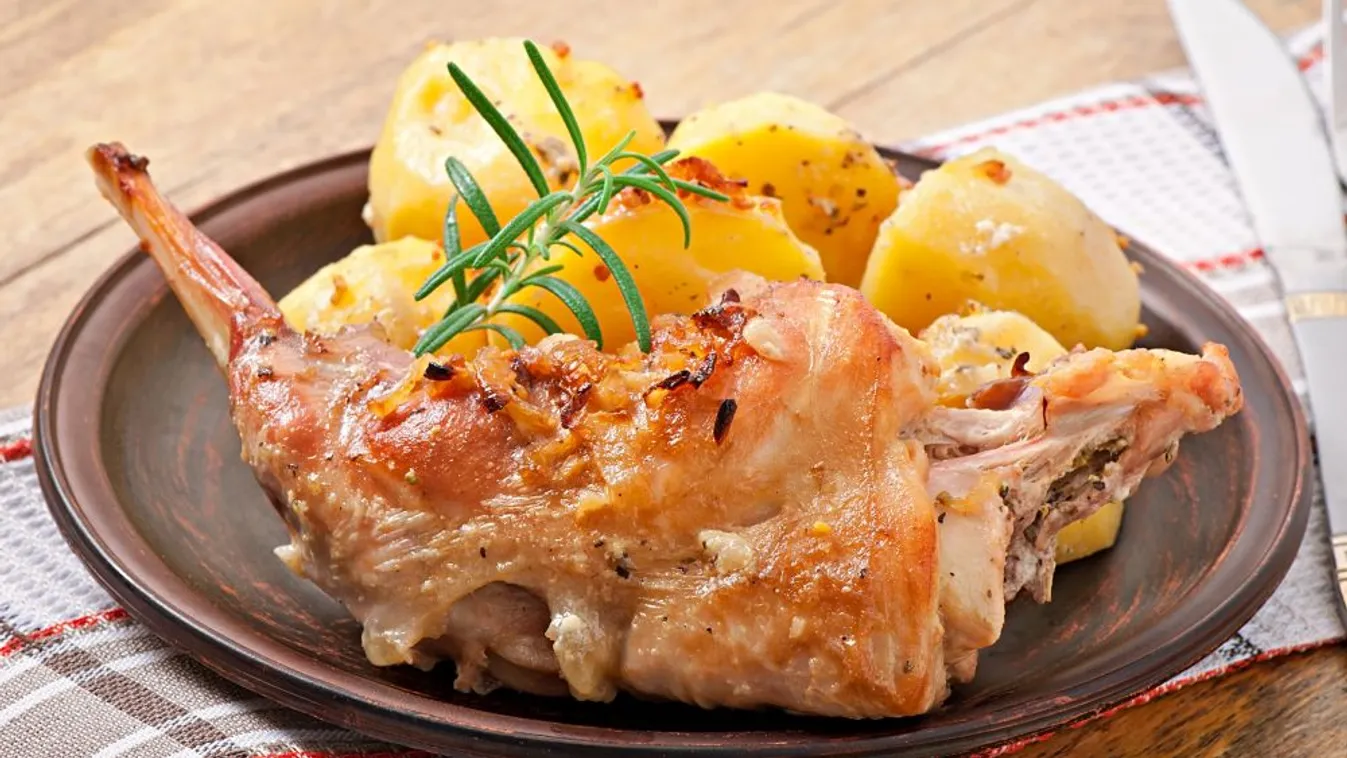 Kampány indul a nyúlhús fogyasztásának népszerűsítéséért