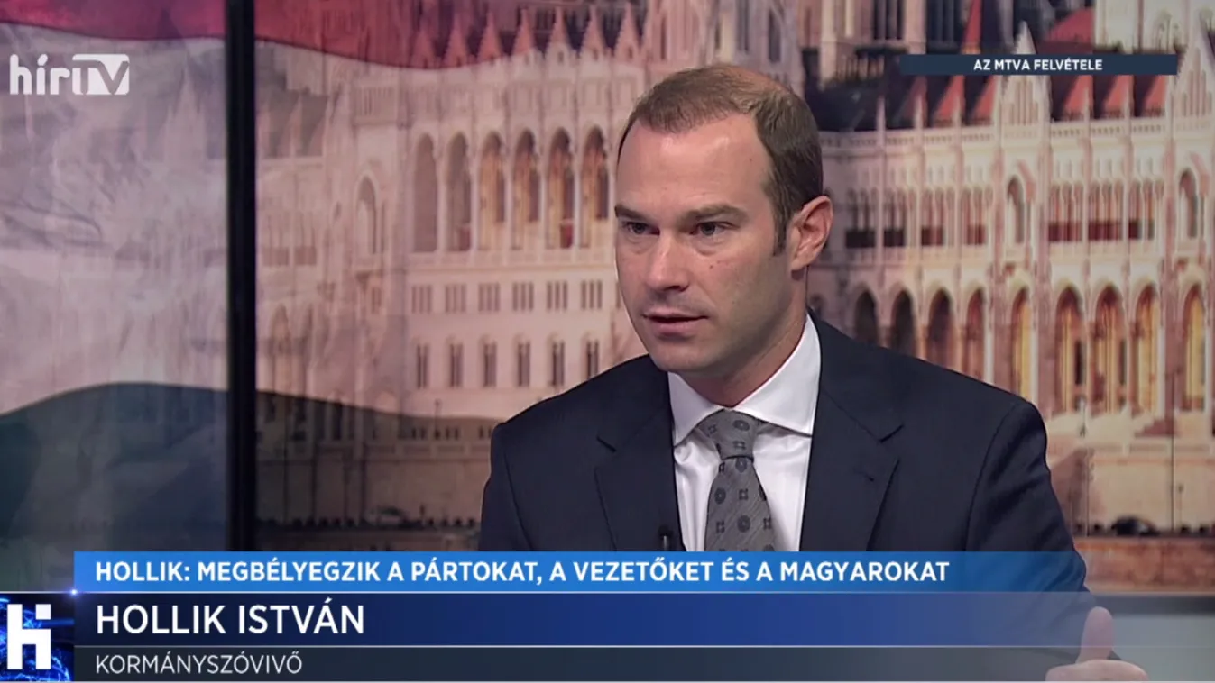 Hollik: Megbélyegzik a pártokat, a vezetőket és a magyarokat