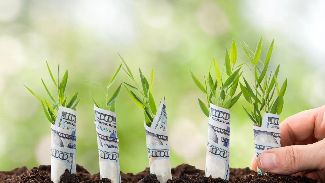 Pénzügyi tudatosságot fejlesztő startupba fektetett a Széchenyi Tőkealap-kezelő Zrt.