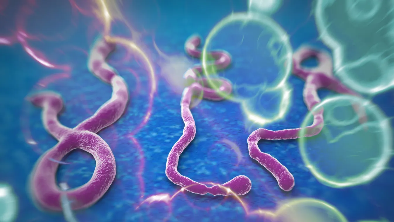 Különleges megbízottat nevez ki az ENSZ a Kongóban pusztító járvány megfékezésére