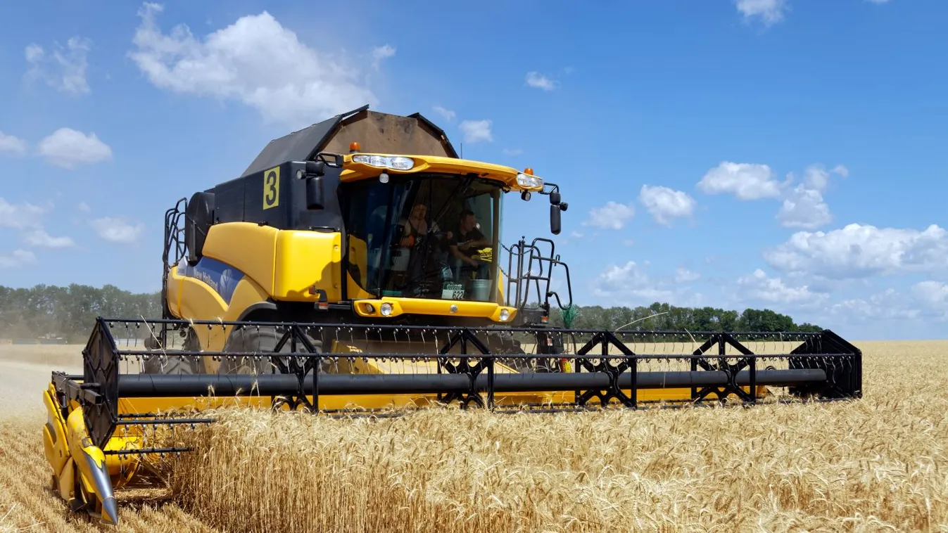 Mezőgazdasági adatgyűjtés kezdődött szerdán az egyéni gazdaságok körében