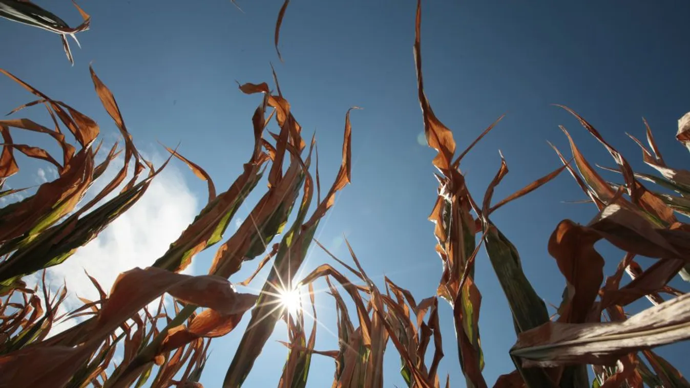 Magyar Nemzet: Fejlesztésekre van szükség a hazai mezőgazdaságban