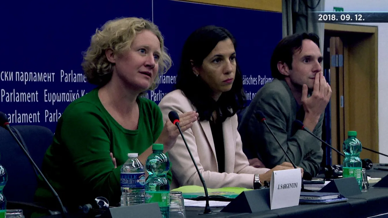 Főhős: A Sargentini-jelentés egy leporolt Tavares-jelentés