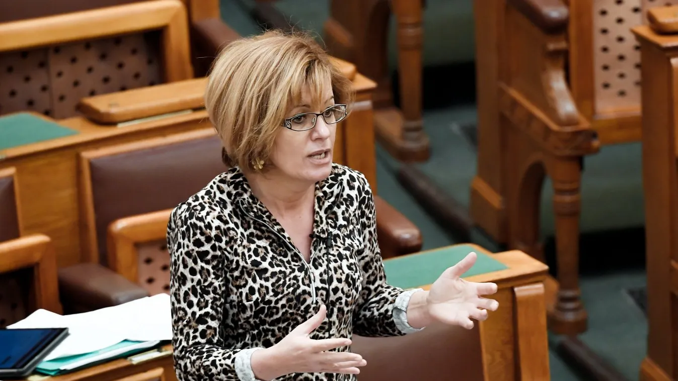 Aláírásgyűjtés indult a patkányozó Bangóné Borbély Ildikó lemondásáért