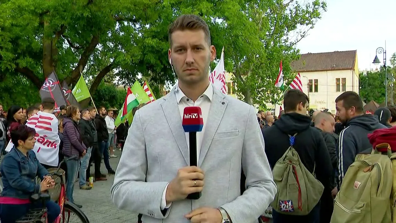 Mi Hazánk Mozgalom-demonstráció Törökszentmiklóson