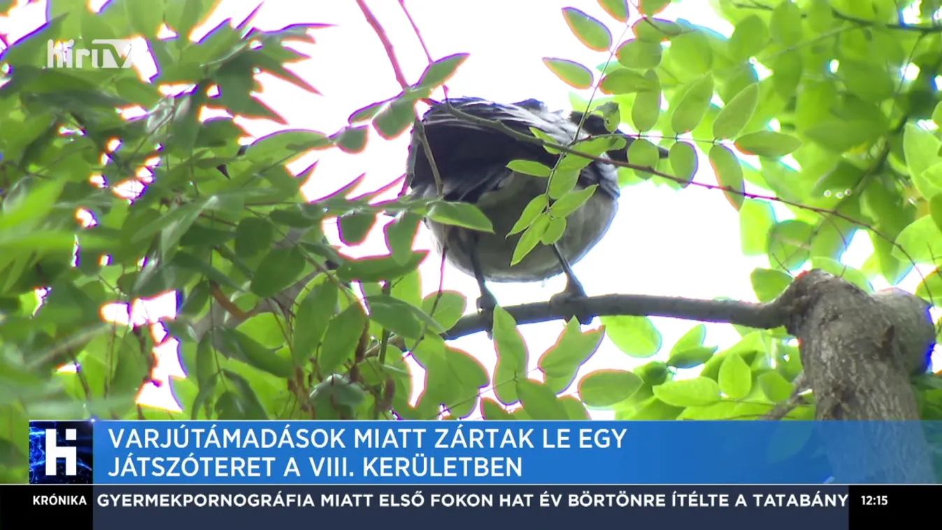 Varjútámadások miatt zártak le egy játszóteret a VIII. kerületben