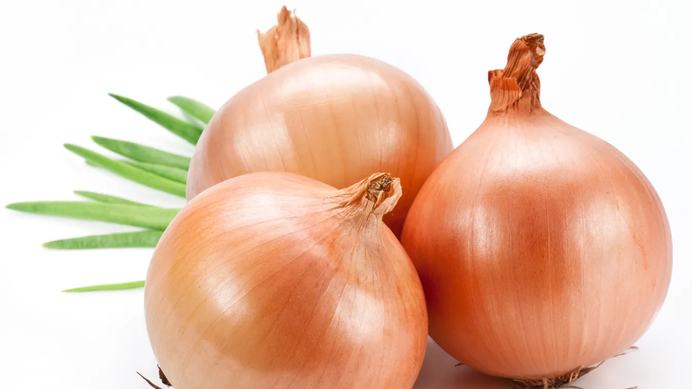 Az import ellen hirdettek harcot a hagymatermesztők