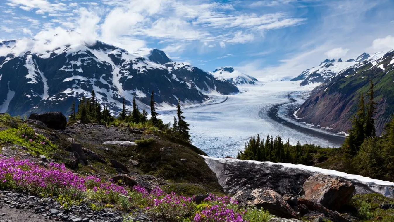 A klímaváltozás miatt megélénkül az alaszkai gleccserturizmus
