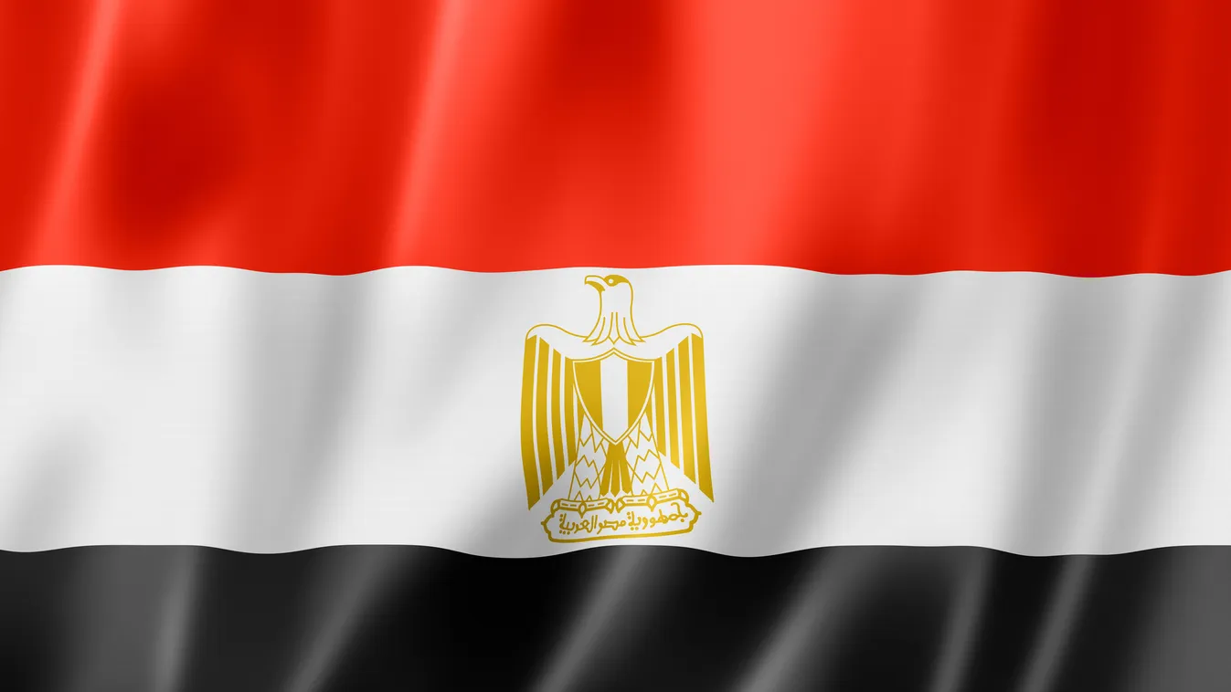 Összeesküvés gyanújával őrizetbe vették a 2011-es egyiptomi felkelés egyik vezetőjét