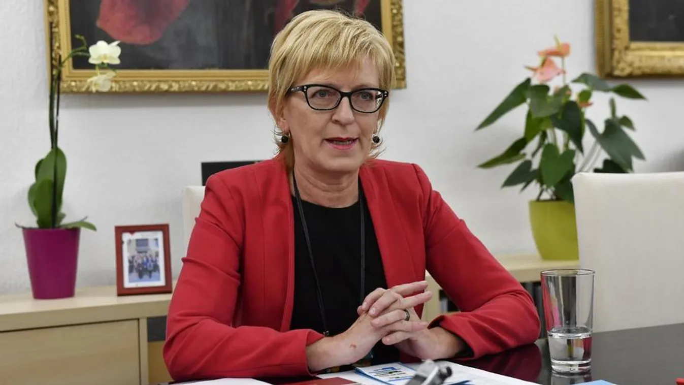 Handó Tünde a törvényeket betartva végezte munkáját