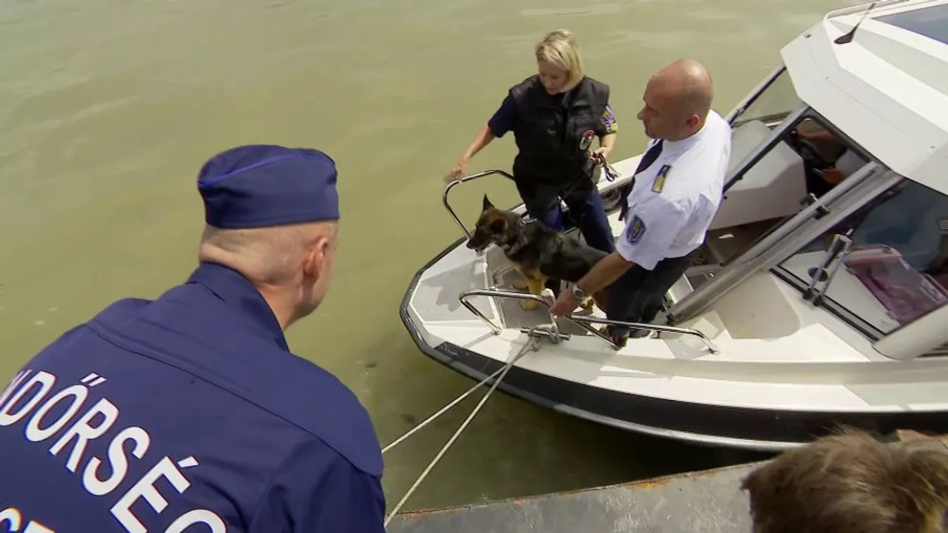 Dunai hajóbaleset - a tetemkereső kutyák eddig három holttestet találtak