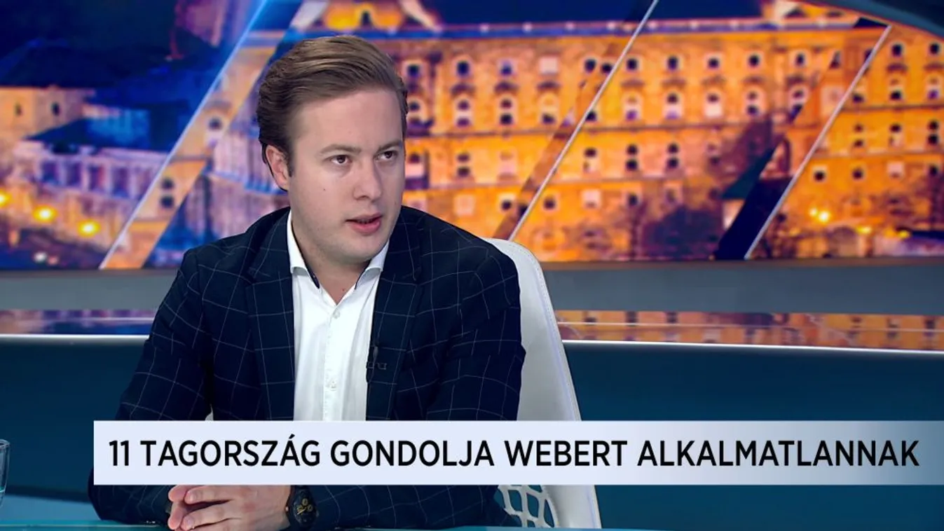 Pócza István: Két szék között a pad alá esett Manfred Weber