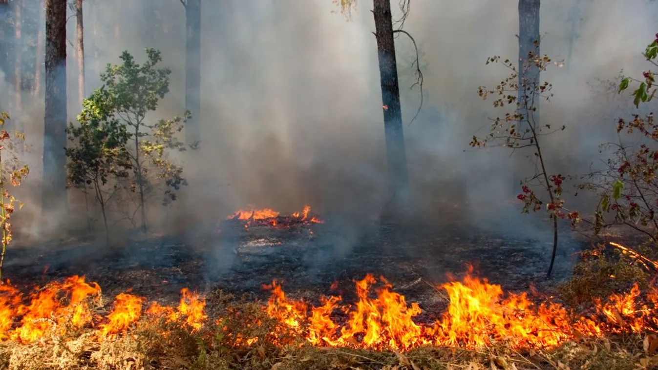 Kitelepítések Katalóniában egy erdőtűz miatt