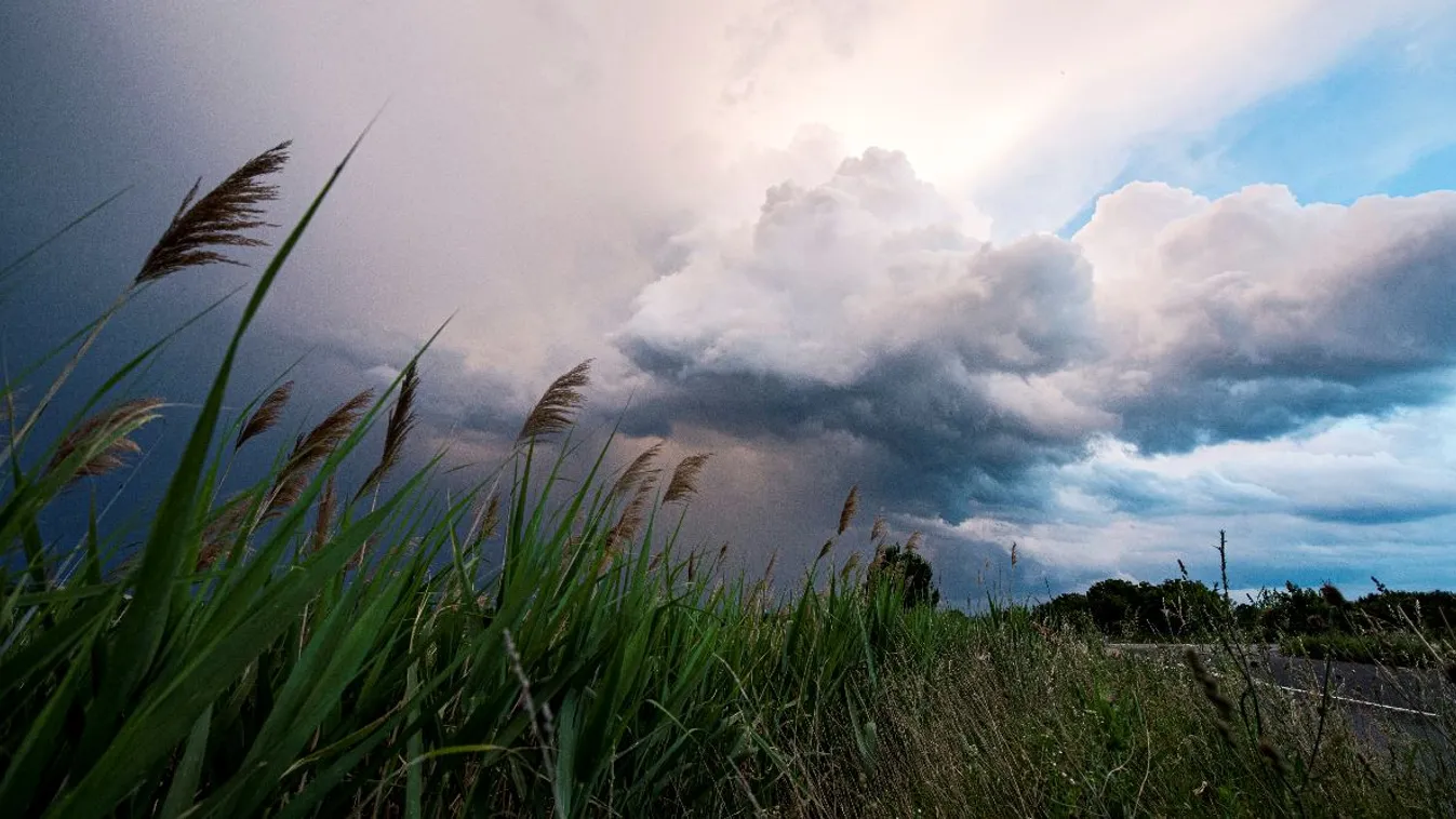 Rácz András: Kincs Magyarország természeti öröksége