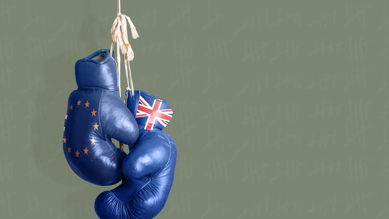 Ellentétes vélemények a brit konzervatív utódjelölti mezőnyben a kilépésről