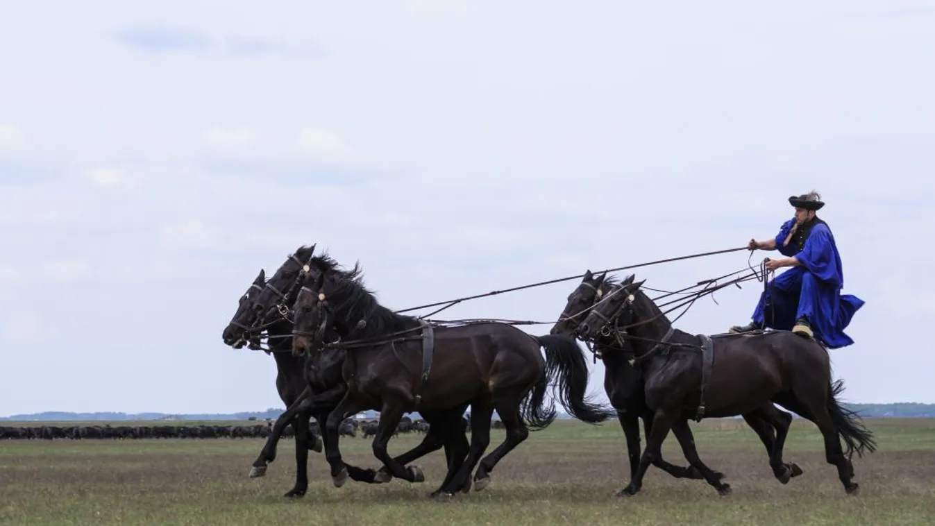 Húszezer látogatót várnak a hortobágyi lovasnapokra