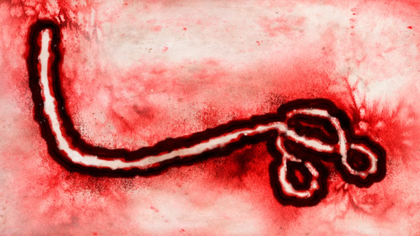 ENSZ: Átlagosan tíz kongói betegből három gyerek