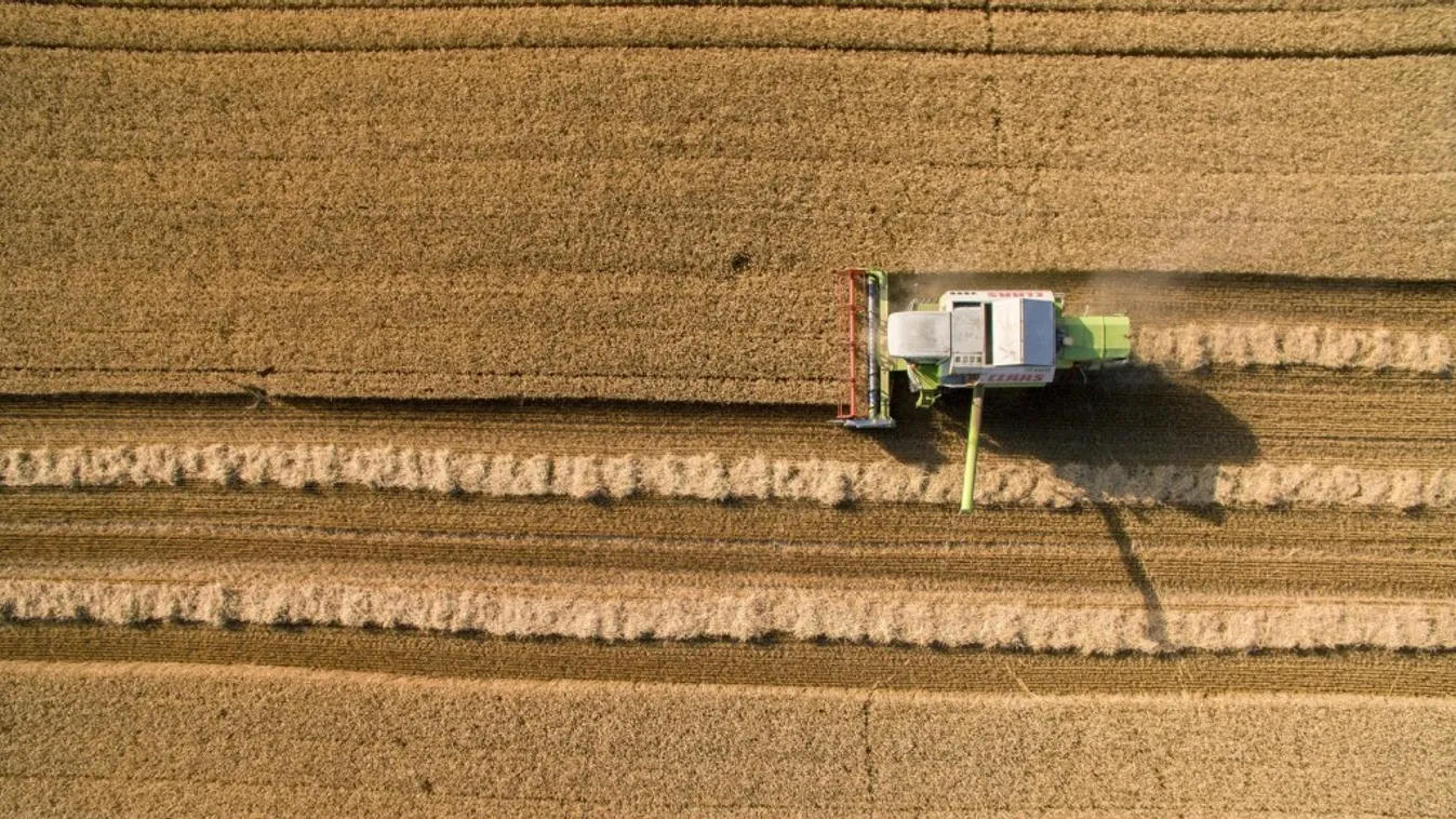 Átlagos termés várható Jász-Nagykun-Szolnok megyében