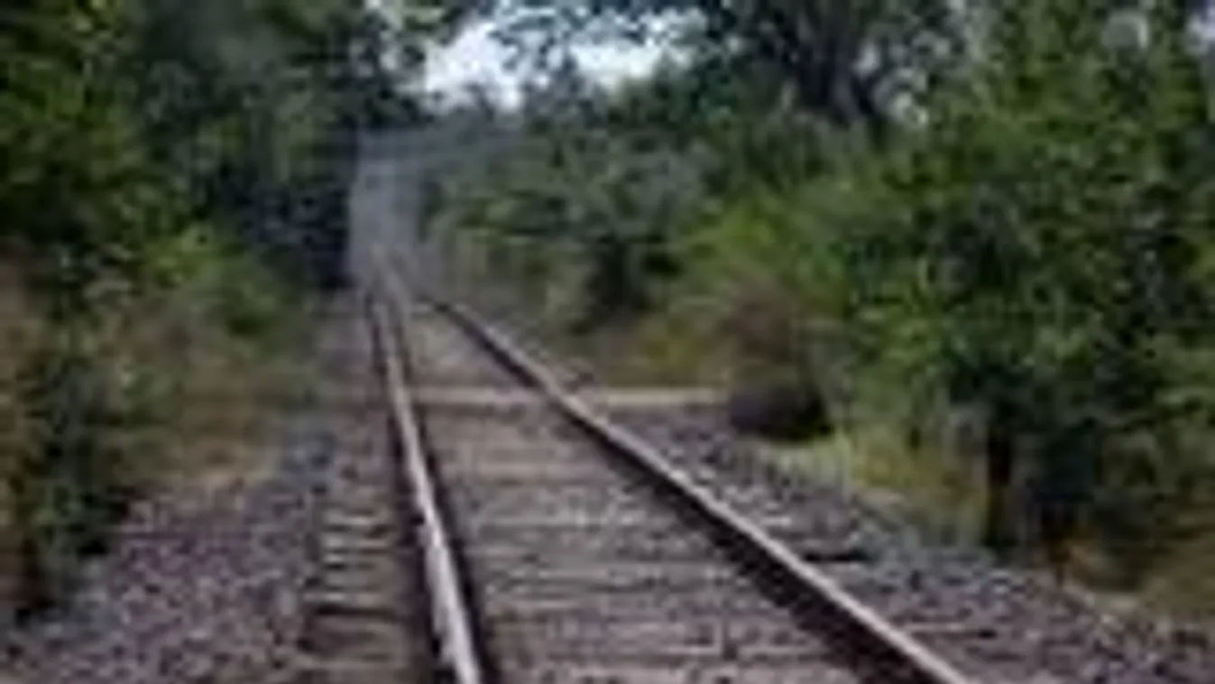 Svájcban élő háromgyermekes családapa gyilkolt Frankfurtban