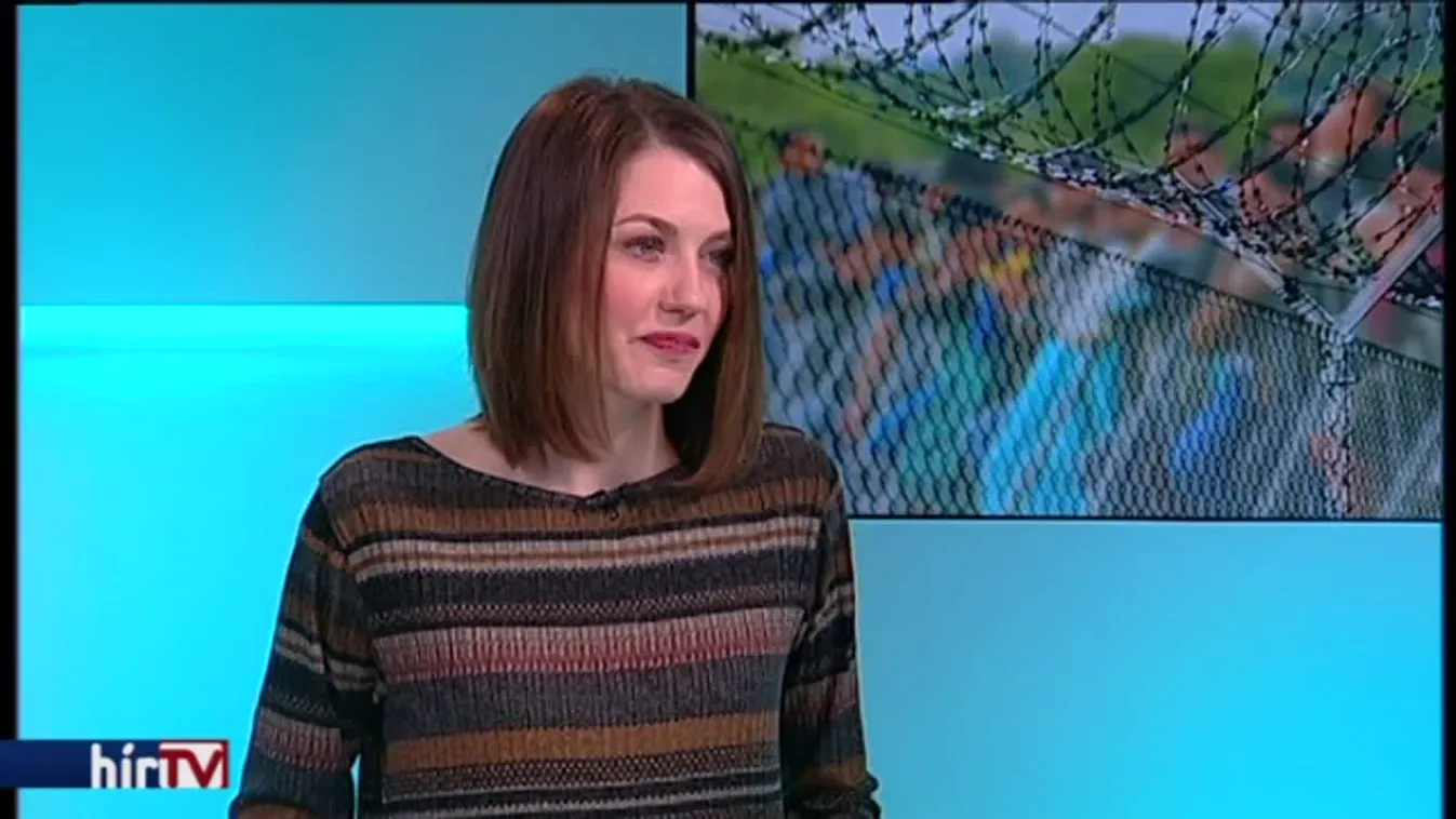 Az európai politikusokat bírálta a Momentum új EP képviselője