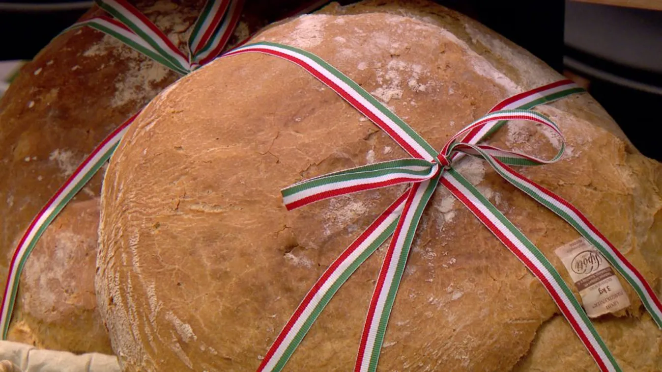 Megkezdődött a Magyarok Kenyere - 15 millió búzaszem program