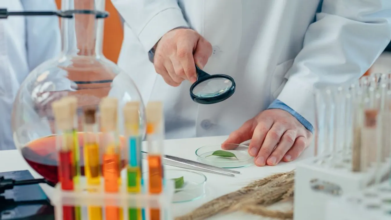 Kezdődik a 30. Nemzetközi Biológia Diákolimpia Szegeden